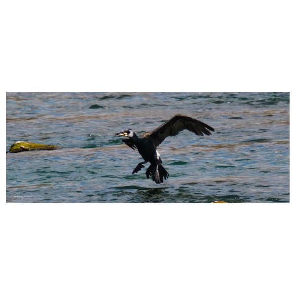 PHOTO84, CLUB, 84 , LUBERON